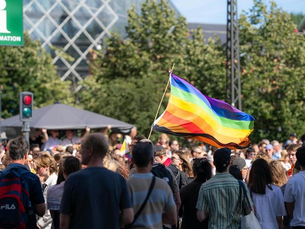 Les récifs coralliens : les forêts rainettes de la mer